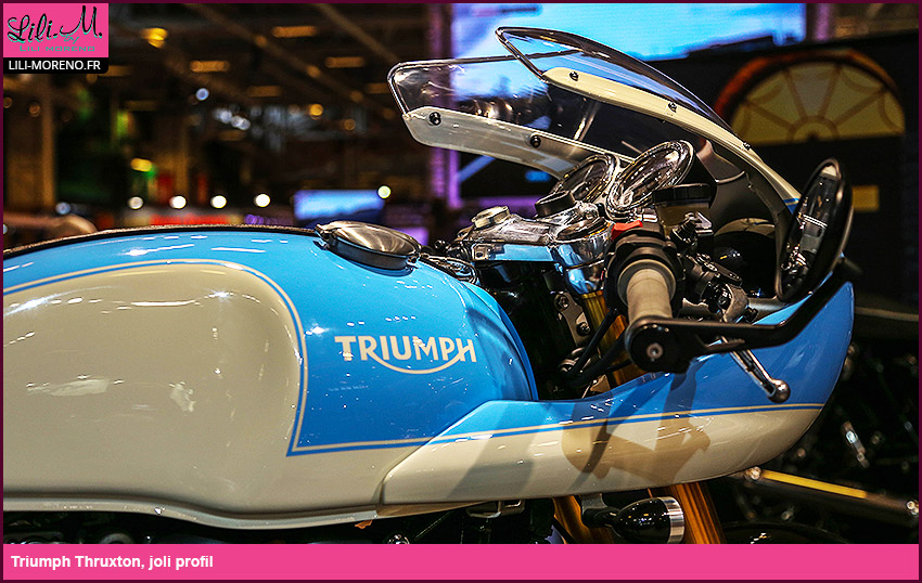 Triumph Thruxton, joli profil