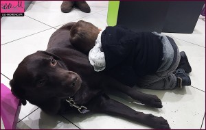 Beaucoup de moments de tendresse